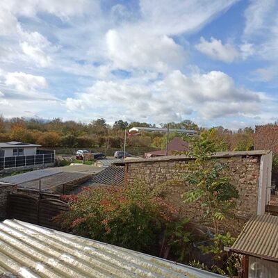 Blick in den Garten / Zuckerpark-Bereich