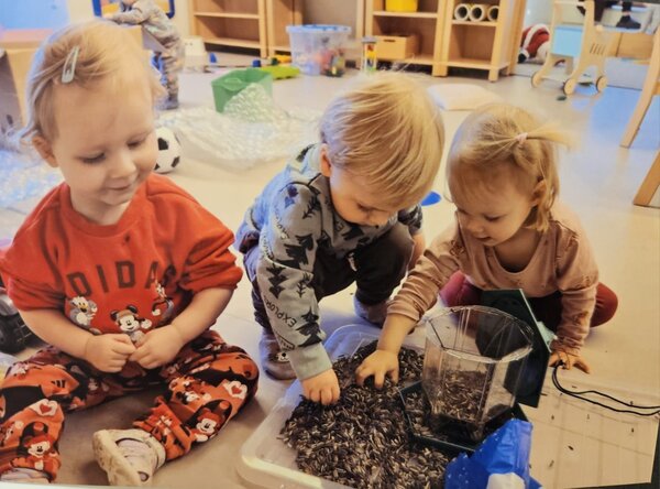Vorbereitung der Wintervogelf&uuml;tterung in der Kita &raquo;Schloss Trautenburg&laquo;