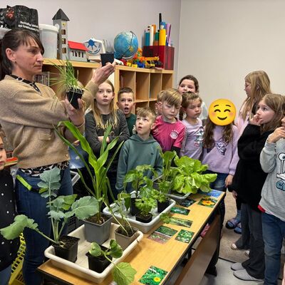 Pflanzen genau erkl&auml;rt