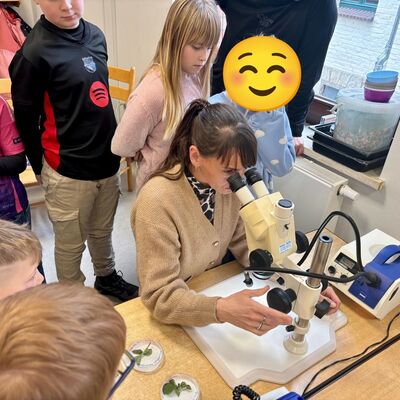 Blick durchs Mikroskop