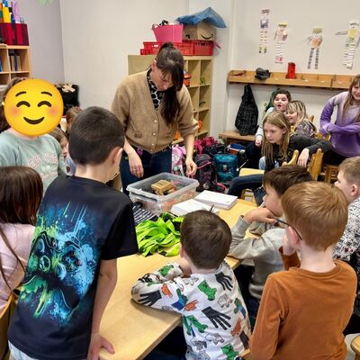 Forschen in der Gruppe