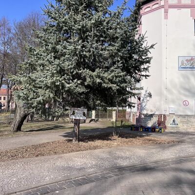 Neugestalteter Eingangsbereich der Kita Bodespatzen in Gr&ouml;ningen