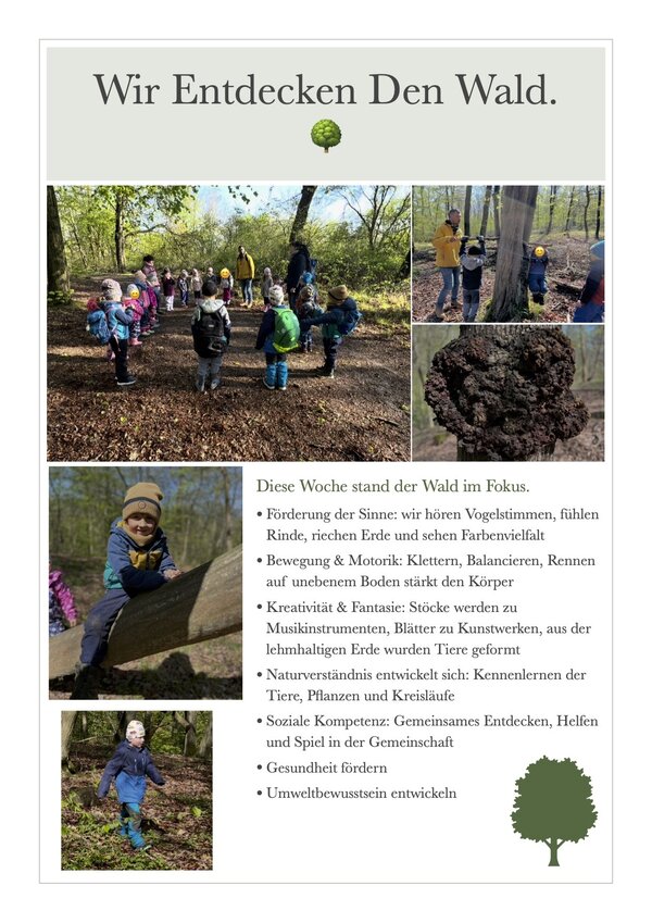 Kita Kroppenstedt entdeckt den Wald - Bildung elementar in der Westlichen B&ouml;rde