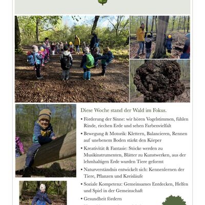 Kita Kroppenstedt entdeckt den Wald - Bildung elementar in der Westlichen B&ouml;rde