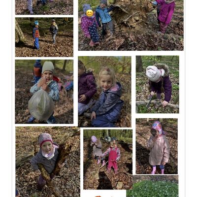 W&auml;hrend der Waldwoche der Kita Kroppenstedt entdecken Kinder spielerisch die Natur. Bl&auml;tter, St&ouml;cke, Erde und Baumst&auml;mme werden zu Lernorten f&uuml;r Kreativit&auml;t, Motorik, Gemeinschaft und Umweltbildung in der familienfreundlichen Verbandsgemeinde Westliche B&ouml;rde.