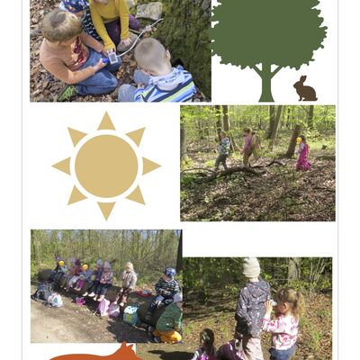 Die Waldwoche zeigt, wie vielseitig Bildung elementar in Kroppenstedt umgesetzt wird. Die Kinder bewegen sich im Wald, beobachten die Natur, erforschen Pflanzen und Tiere und erleben Gemeinschaft in der Verbandsgemeinde Westliche B&ouml;rde.