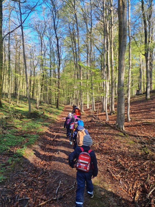 Kita-Kinder auf Entdeckungstour im Hohen Holz