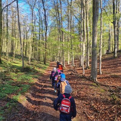 Kita-Kinder auf Entdeckungstour im Hohen Holz