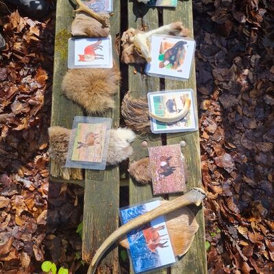 Bei der waldp&auml;dagogischen F&uuml;hrung konnten die Kinder Felle, Geweihe und weitere Anschauungsmaterialien heimischer Tiere betrachten und begreifen.