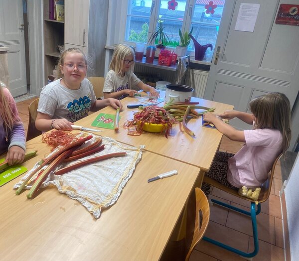 Kinder verarbeiten Rhabarber im Hort &raquo;Villa Einstein&laquo; Ausleben