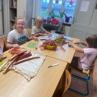 Kinder verarbeiten Rhabarber im Hort &raquo;Villa Einstein&laquo; Ausleben
