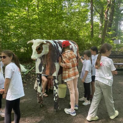 Bei einer Wettbewerbsstation zum Thema Dorfleben l&ouml;sen Sch&uuml;lerinnen der Grundschule Gr&ouml;ningen eine praktische Aufgabe an einem Kuh-Modell. Der JRK-Kreiswettbewerb verbindet Erste Hilfe, Allgemeinwissen, Kreativit&auml;t und regionale Alltagsbildung im l&auml;ndlichen Raum.