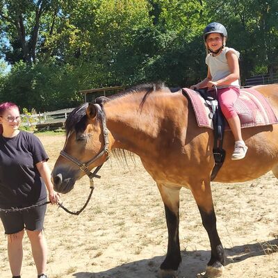 Reiten