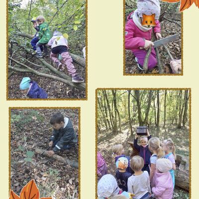 ABC-Kinder der Kita Rasselbande Kroppenstedt erleben spannende Abenteuer im Wald