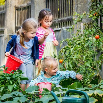 Kita Hamersleben in der Gemeinde Am Groen Bruch